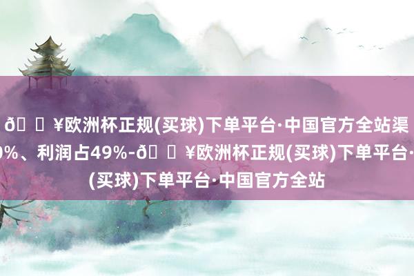 🔥欧洲杯正规(买球)下单平台·中国官方全站渠说念资本占40%、利润占49%-🔥欧洲杯正规(买球)下单平台·中国官方全站