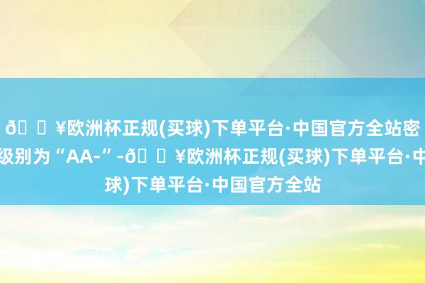 🔥欧洲杯正规(买球)下单平台·中国官方全站密卫转债信用级别为“AA-”-🔥欧洲杯正规(买球)下单平台·中国官方全站