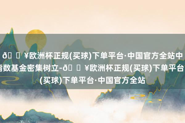 🔥欧洲杯正规(买球)下单平台·中国官方全站中证A500场外指数基金密集树立-🔥欧洲杯正规(买球)下单平台·中国官方全站